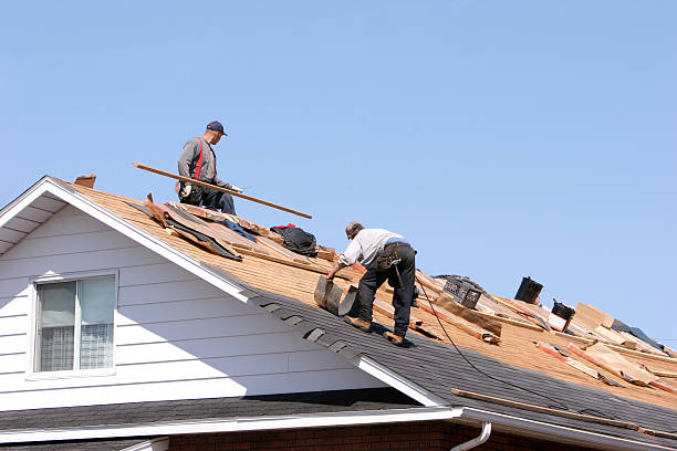 Best Asphalt Shingle Roofing  in Del Rey, CA